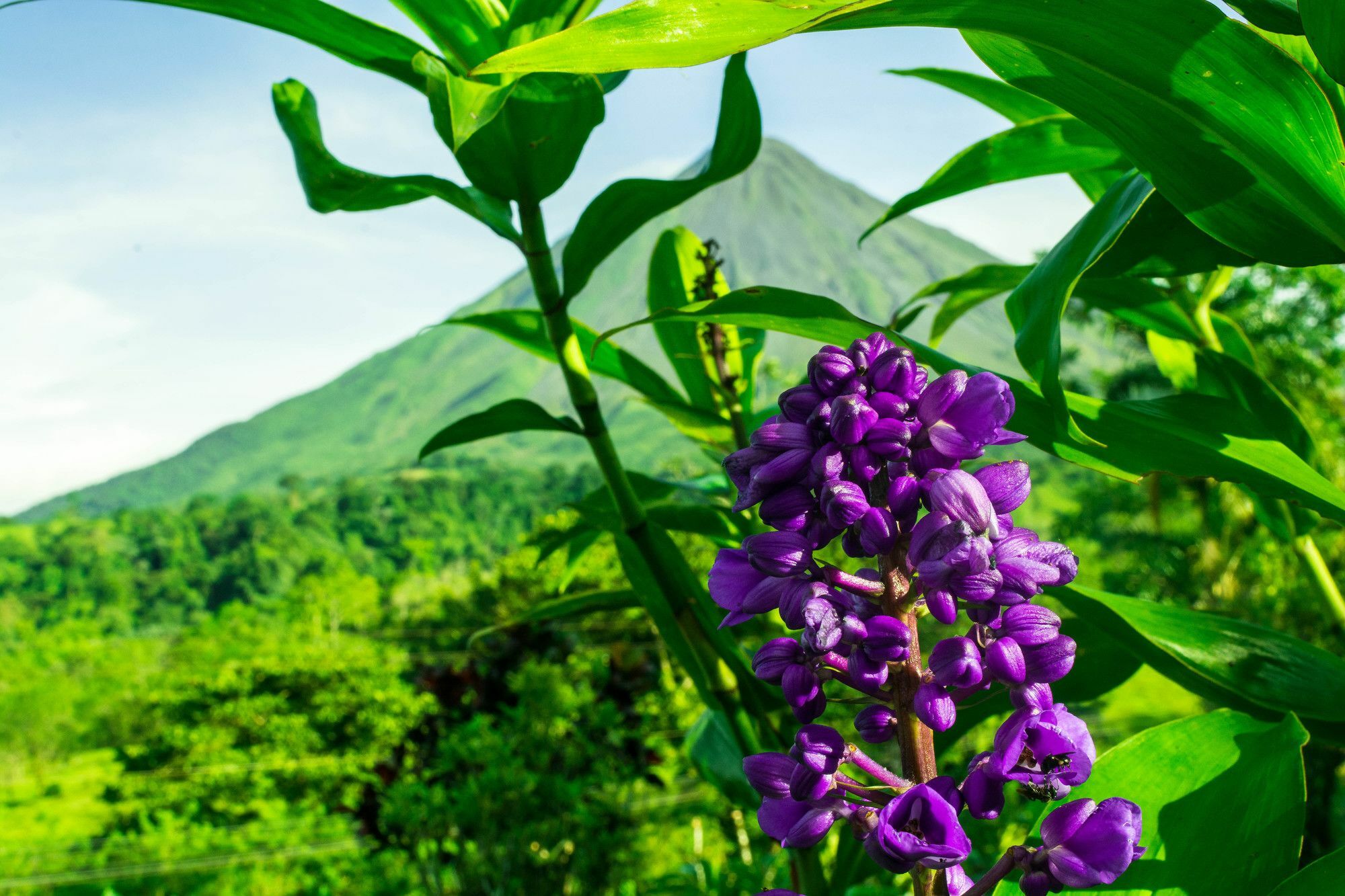 Arenal Bungalows La Fortuna 외부 사진