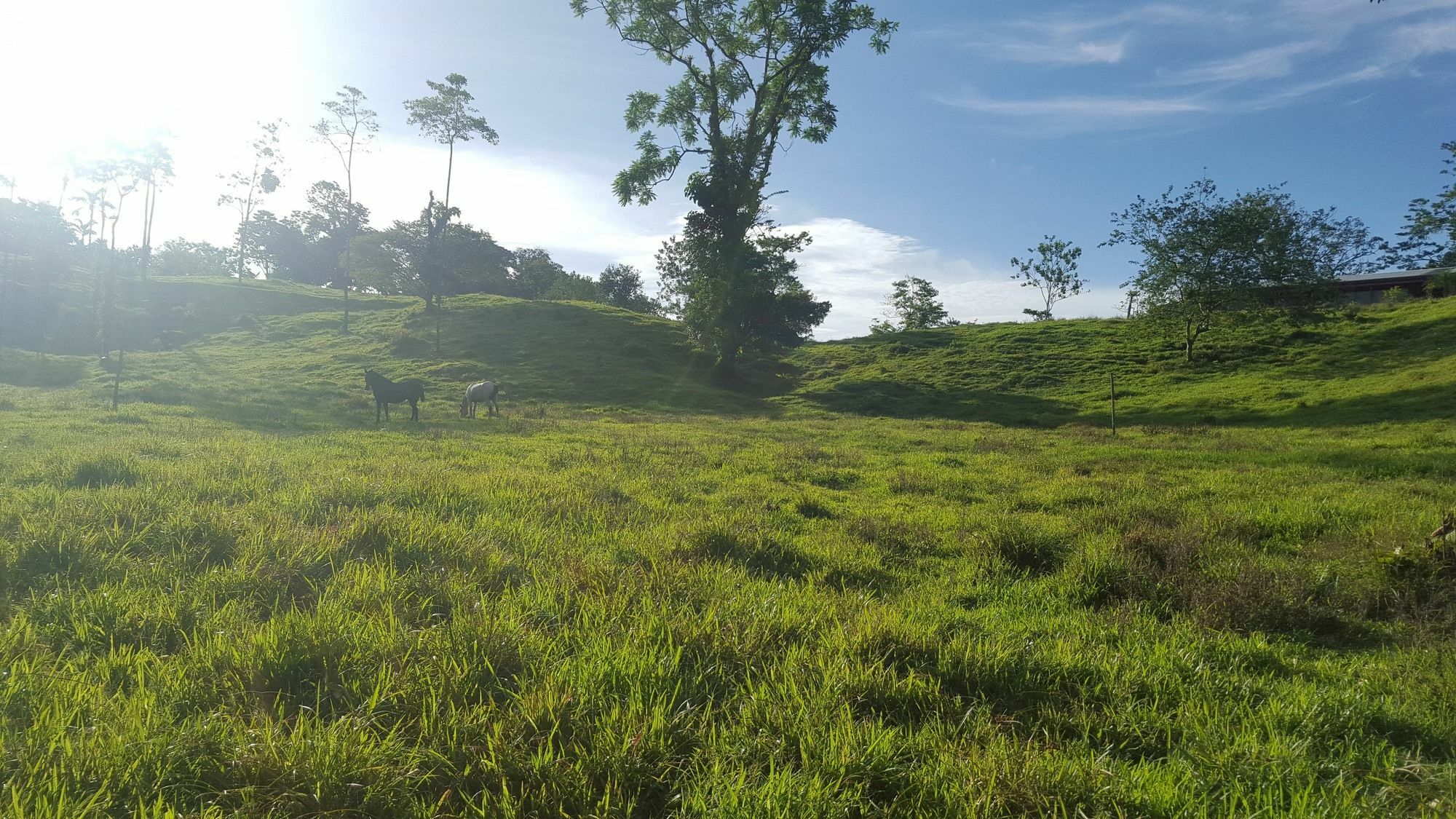 Arenal Bungalows La Fortuna 외부 사진